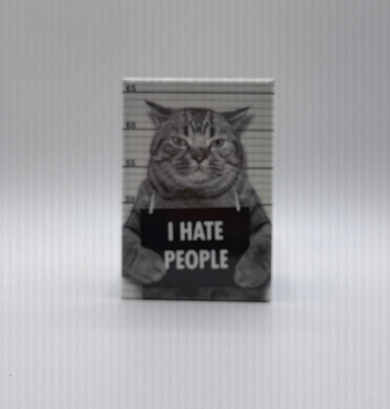 I Hate People magnet